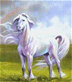 avki-ru-0025-animals-horse.gif