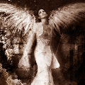 avki-ru-0048-angels.gif