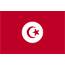 avki-ru-ava-0219-flag-tunisia.gif