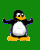 avki-ru-0001-ava-pingvin-40x50.gif