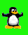 avki-ru-0002-ava-pingvin-40x50.gif