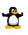 avki-ru-0006-ava-pingvin-40x50.gif
