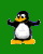 avki-ru-0007-ava-pingvin-40x50.gif
