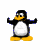 avki-ru-0012-ava-pingvin-40x50.gif