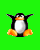 avki-ru-0026-ava-pingvin-40x50.gif