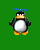 avki-ru-0037-ava-pingvin-40x50.gif