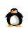 avki-ru-0048-ava-pingvin-40x50.gif